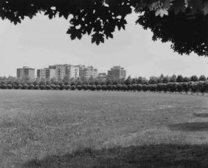 Milano - Parco Nord - prato - filari di alberi - palazzine