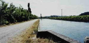 Canale Virgilio - strada sterrata