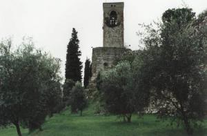 Castello di Cavriana - torre - ulivi
