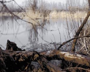 Buche Danesi - lago - tronchi d'albero - vegetazione secca