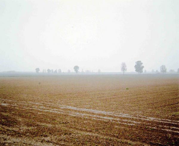 Campo seminato - nebbia