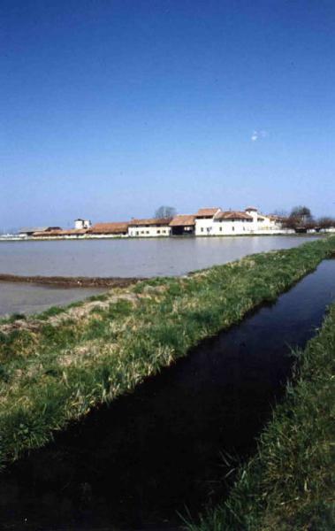 Risaie - canale - cascina