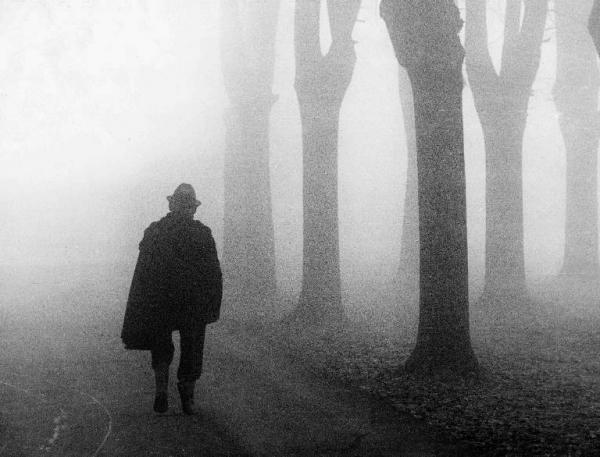 Nebbia - uomo in cammino - alberi