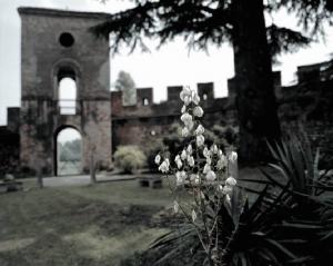 Castellaro Lagusello - castello - giardino interno - fiori