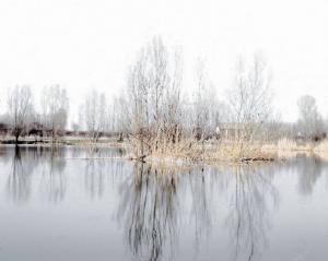 Buche Danesi - lago - alberi - riflesso