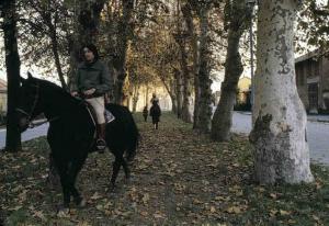 Giovani a cavallo - prato fra gli alberi