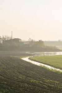 Campi coltivati - Irrigazione per scorrimento - Cascina - Alberi