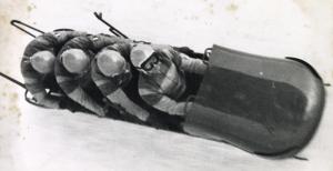 Sport invernali - Bob a quattro maschile - Cortina d'Ampezzo - Giochi della VII Olimpiade invernale 1956 - La squadra di Italia II guidata da Eugenio Monti  in azione
