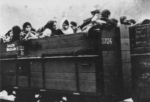 Seconda guerra mondiale - Polonia, Lublino - Deportazione - Trasporto ebrei, famiglie, in vagone carro bestiame scoperto - Olocausto - Nazismo