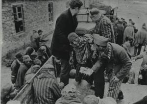 Seconda guerra mondiale - Nazismo - Germania - Campo di concentramento di Wobbelin (sottocampo di Neuengamme) - Liberazione - Prigionieri sopravvissuti malati trasportati a un ospedale da campo americano - Pigiama a strisce - Camion