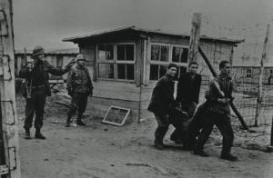 Seconda guerra mondiale - Nazismo - Germania - Campo di concentramento di Wobbelin (sottocampo di Neuengamme) - Liberazione - Prigionieri sopravvissuti trasportano un uomo - Pigiama a strisce - Soldati americani in divisa