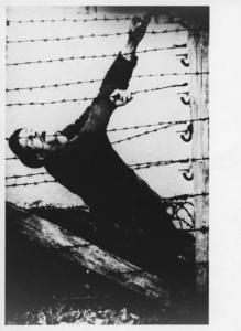 Seconda guerra mondiale - Nazismo - Austria - Campo di concentramento di Mauthausen-Gusen - Reticolato con filo spinato e corrente elettrica ad alta tensione - Prigioniero morto suicida