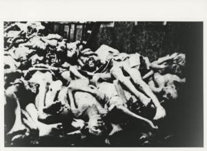 Seconda guerra mondiale - Nazismo - Germania - Campo di concentramento di Buchenwald - Dopo la liberazione - Cumulo di cadaveri nudi e scheletriti davanti al crematorio