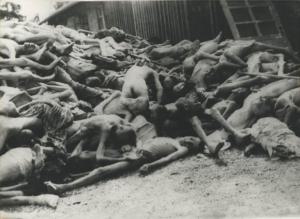 Seconda guerra mondiale - Nazismo - Germania - Campo di concentramento di Dachau - Dopo la liberazione - Cumulo di cadaveri nudi e scheletriti dietro al crematorio