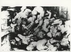 Seconda guerra mondiale - Nazismo - Germania - Campo di concentramento di Ohrdruf - Dopo la liberazione - Capannone, interno - Cumulo di cadaveri nudi