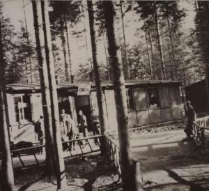 Seconda guerra mondiale - Austria - Campo di concentramento di Ebensee (sottocampo di Mauthausen) - Nazismo - Dopo la liberazione - Blocco degli italiani - Baracca con cartello "Italia" - Sopravvissuti - Bosco