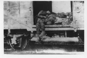 Seconda guerra mondiale - Nazismo - Germania, Dachau - Trasporto di deportati (evacuazione) - Treno della morte - Vagone con cadaveri