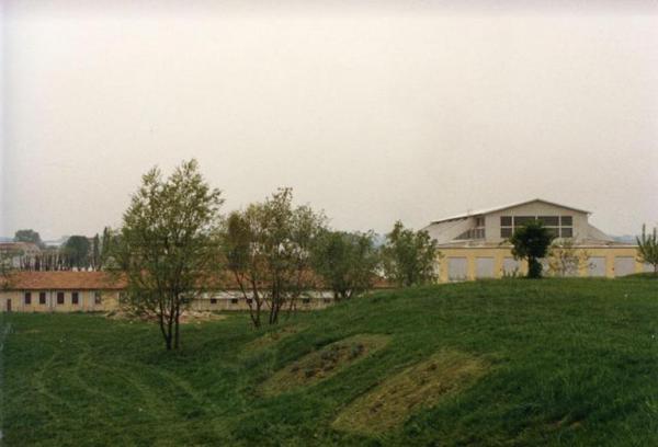 Sesto San Giovanni - Parco Nord, settore Montagnetta - Alberi - Sullo sfondo edifici lungo via Clerici - Capannoni della Breda - Area industriale