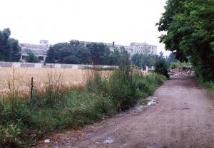 Milano - Parco Nord, settore Niguarda - Discarica nelle vicinanze di viale Enrico Fermi - Degrado