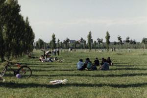 Cinisello Balsamo - Parco Nord, settore Est - Filare di pioppi cipressini e Cannocchiale degli ippocastani - Prato - Boschi (primi lotti) - Persone al parco