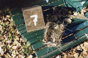Parco Nord - Nido artificiale - Casetta per uccelli numero sette e nido appoggiati su una panchina