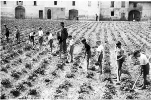 Lavori agricoli - Istruzione - Seconda Guerra Mondiale - Canneto sull'Oglio - Piazza Gramsci