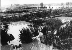Alluvione 1953 - Fiume Oglio - Canneto sull'Oglio - Vivai