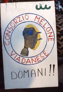 Manifestazione contro la possibile installazione di una centrale elettronucleare 1983 - Viadana - Via Alessandro Manzoni - Cartello