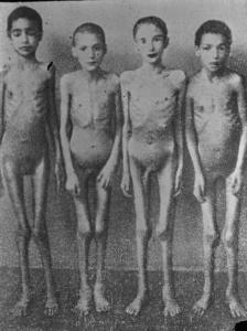 Seconda guerra mondiale - Polonia - Campo di concentramento di Auschwitz - Nazismo - Liberazione - Foto di gruppo: bambine scheletrite nude cavie degli esperimenti di Josef Mengele