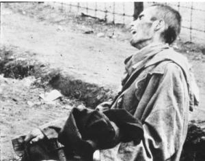 Seconda guerra mondiale - Germania - Campo di concentramento di Bergen Belsen - Nazismo - Liberazione - Ritratto maschile: prigioniero scheletrito sopravvissuto sofferente - Reticolato con filo spinato