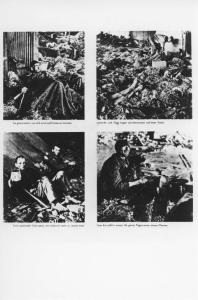 Seconda guerra mondiale - Nazismo - Germania - Campo di concentramento di Nordhausen - Dopo la liberazione - Baracca Boelke Kaserne, interno - Prigionieri sopravvissuti allo stremo - Cadaveri - Cibo