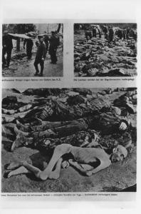 Seconda guerra mondiale - Nazismo - Germania - Campo di concentramento di Nordhausen - Dopo la liberazione - Civili tedeschi - Trasporto dei cadaveri dei prigionieri del campo - Sepoltura - Fossa comune