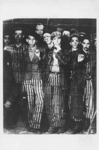 Seconda guerra mondiale - Germania - Campo di concentramento di Buchenwald - Nazismo - Liberazione - Ritratto di gruppo: giovani prigionieri sopravvissuti con pigiama a strisce ("zebrato") - Reticolato di filo spinato