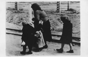 Seconda guerra mondiale - Nazismo - Polonia - Campo di concentramento di Auschwitz-Birkenau - Arrivo di deportati ebrei dall'Ungheria - Donna anziana con bambini scartata alla selezione verso la camera a gas e i forni crematori
