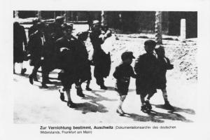 Seconda guerra mondiale - Nazismo - Polonia - Campo di concentramento di Auschwitz-Birkenau - Arrivo di deportati ebrei dall'Ungheria - Bambini e donne scartati alla selezione, smistati verso i forni crematori