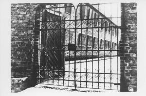 Nazismo - Polonia - Campo di concentramento di Auschwitz, campo I - Ingresso - Cancello in ferro