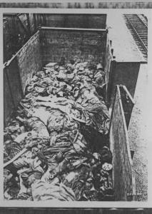 Seconda guerra mondiale - Nazismo - Germania, Dachau - Trasporto di deportati (evacuazione) - Treno della morte - Veduta dall'alto - Vagone del treno aperto ripreso dall'alto, interno - Cadaveri