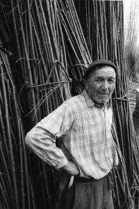 Gente del Po. San Benedetto Po, nei dintorni di - Campagna - Ritratto maschile - Anziano - Fascine di legna