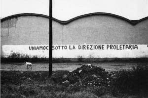 Scritte murali. Paderno Dugnano (?) - Paesaggio industriale - Fabbrica "La Dugnanese" - Muro perimetrale - Scritta murale - Cane