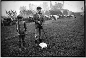Lungo la statale Cuneo-Margarita - Campagna - Ritratto di bambini - Vaccari - Mucche - Campo