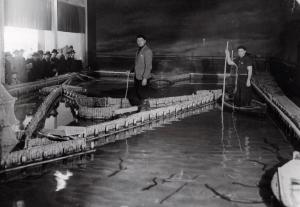 Fiera di Milano - Campionaria 1935 - Padiglione della zootecnica - Vasca di allevamento dimostrativo di anguille