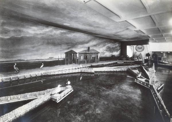Fiera di Milano - Campionaria 1936 - Padiglione della zootecnica - Vasca di allevamento dimostrativo di anguille