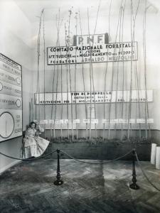 Fiera di Milano - Campionaria 1936 - Padiglione dell'Ente nazionale della cellulosa - Stand del Comitato nazionale forestale