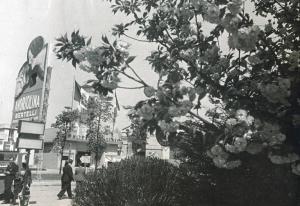 Fiera di Milano - Campionaria 1939 - Aiuola con albero