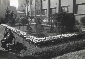 Fiera di Milano - Campionaria 1939 - Aiuola con fiori e arbusti
