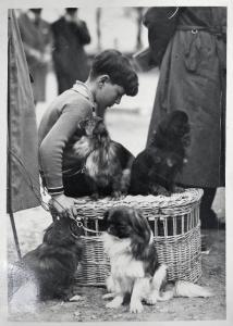 Fiera di Milano - Campionaria 1929 - Mostre della zootecnica - Esposizione canina