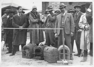 Fiera di Milano - Campionaria 1929 - Mostre della zootecnica - Esposizione canina