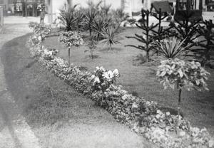 Fiera di Milano - Campionaria 1929 - Aiuola con fiori e arbusti