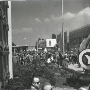Fiera di Milano - Campionaria 1951 - Viale del commercio - Folla di visitatori