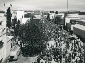 Fiera di Milano - Campionaria 1950 - Viale del commercio - Folla di visitatori